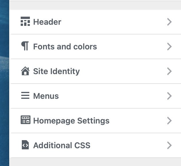 Our final result: adding icons to WordPress customizer panels.