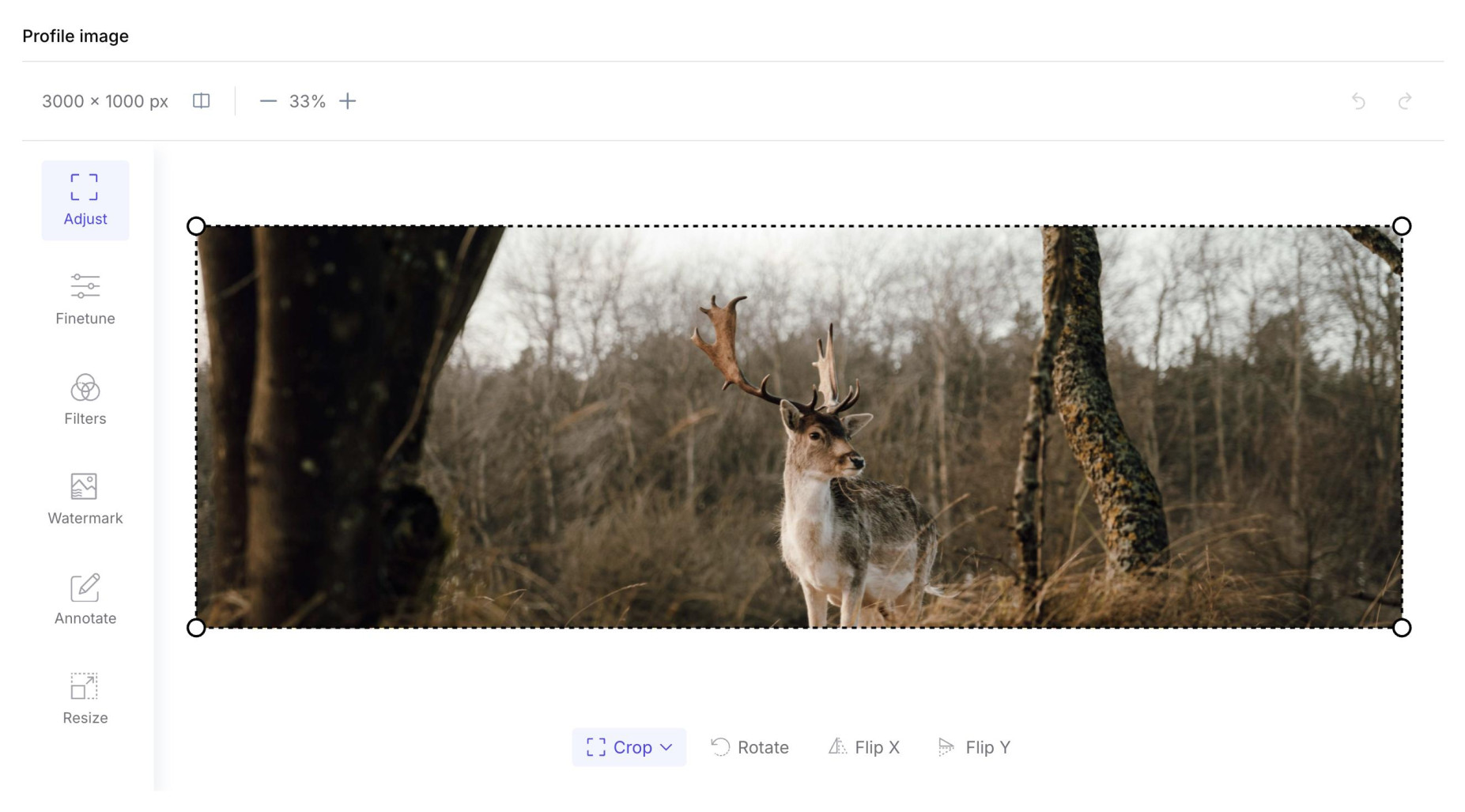 Advanced File Upload Image Editor